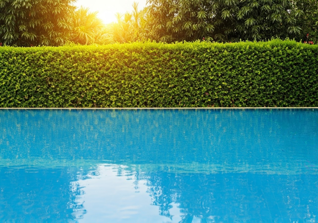 Category: Pool tiles - Specialty Aquatic Tile Cleaning