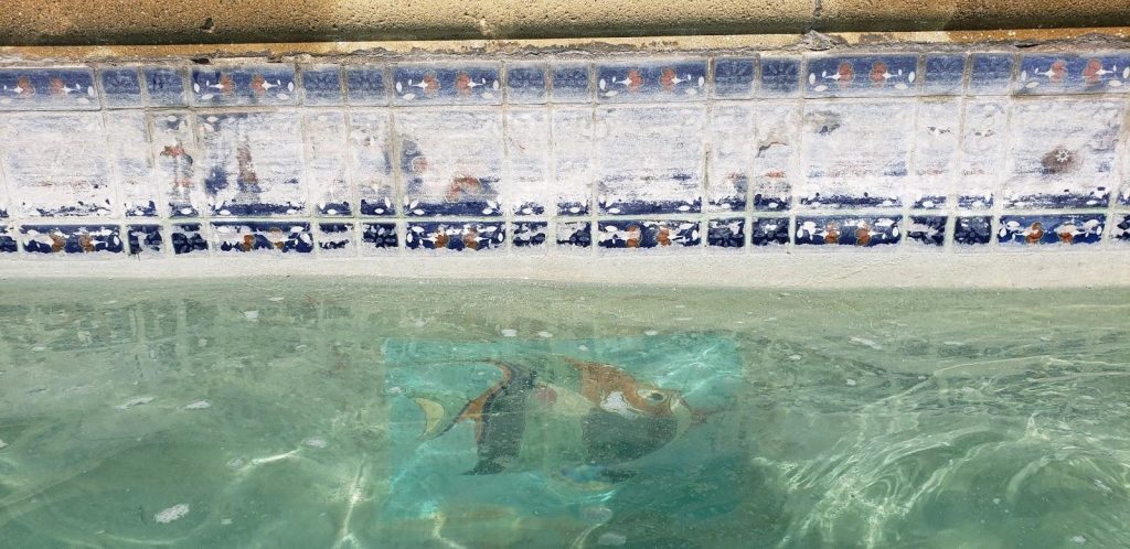 Eco-Friendly Calcium Cleaning Methods for a Safe and Healthy Pool