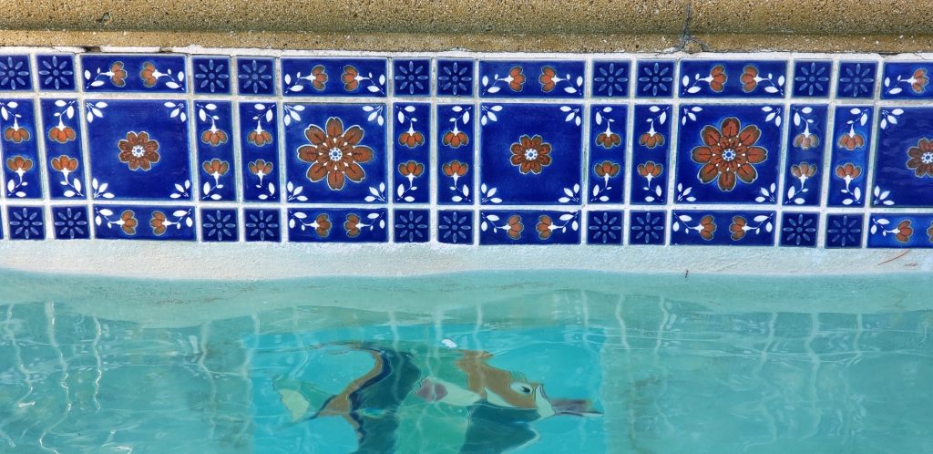 Pool Tile Trends