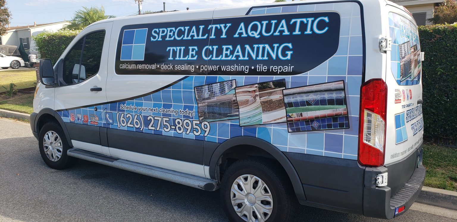 Same Day Pool Tile Cleaning