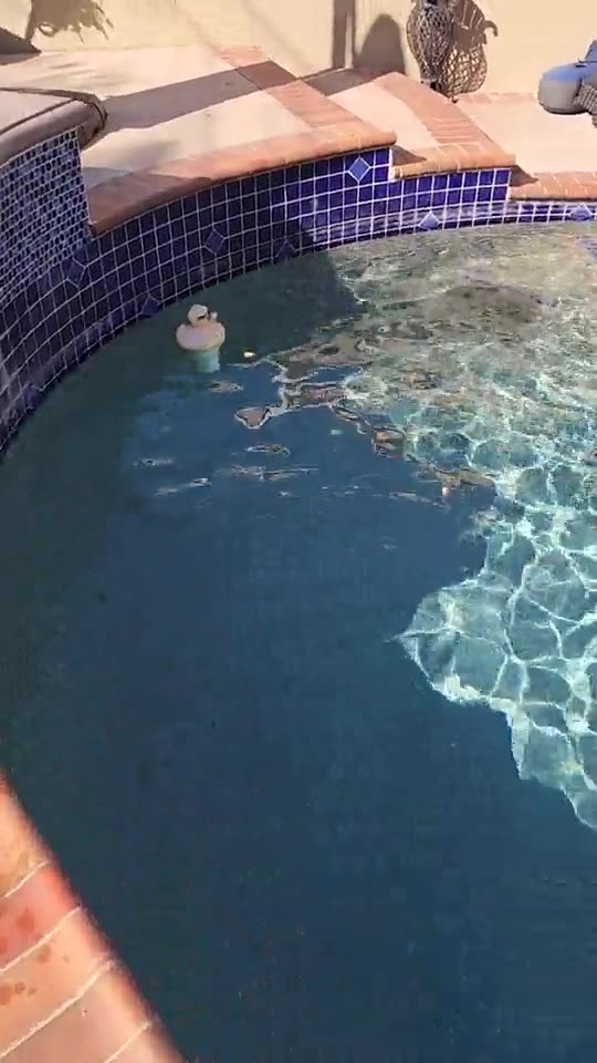 pool care sealer warning for pool and spa tile video guide