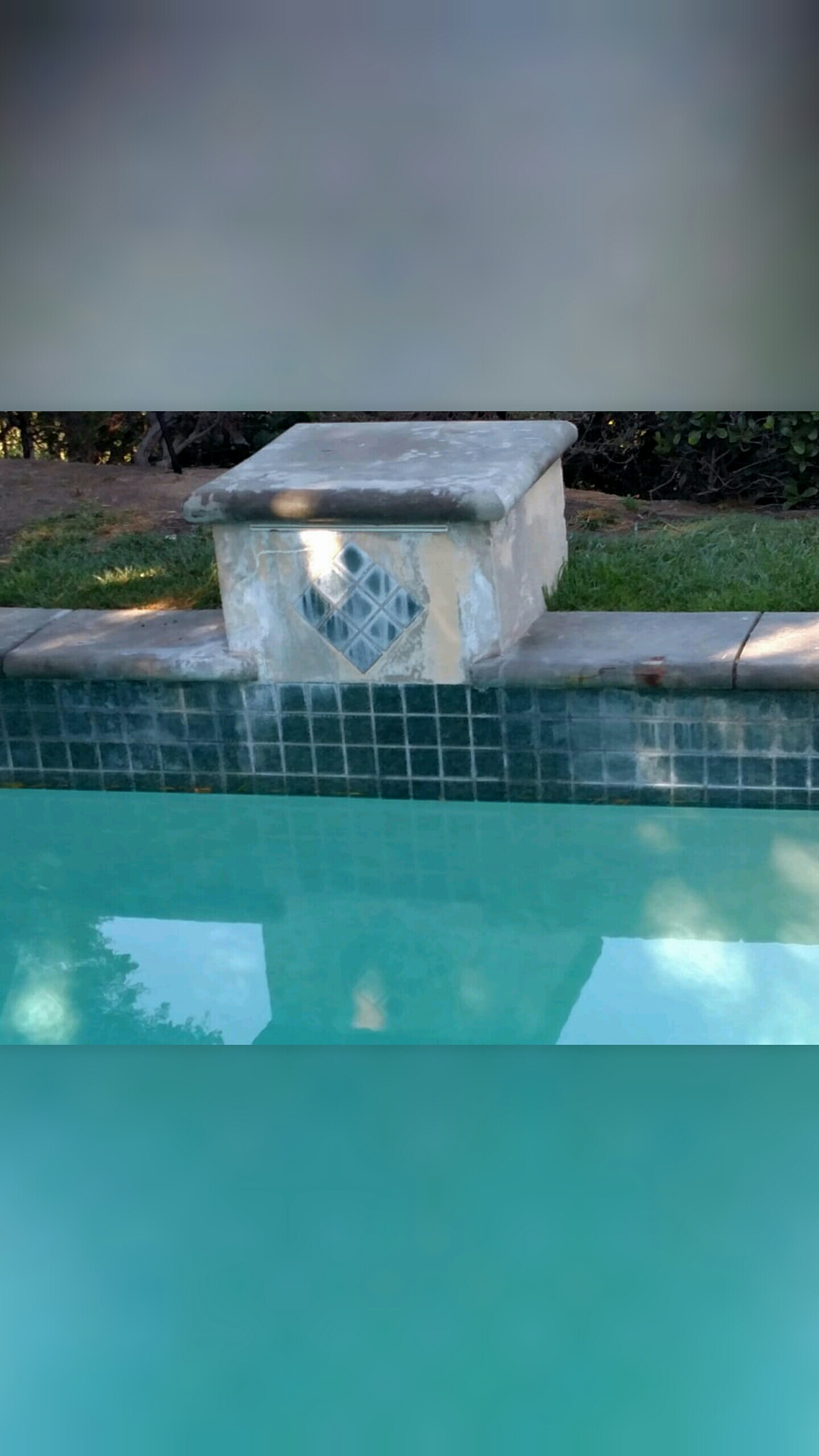 How to Remove Pollen from Your Swimming Pool Quickly? - Pool Tile